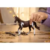 Schleich Horse Club - Порода пейнт хорс Кобыла 14901 — фото 2