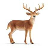 Schleich - Олень виргинский Самец 14818 — фото 1