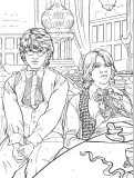Hachette раскраска по номерам Coloriages mystères -Книга «Гарри Поттер в цифрах: цвета и изображения» — фото 2