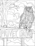 Hachette раскраска по номерам Coloriages mystères -Книга «Гарри Поттер в цифрах: цвета и изображения» — фото 3