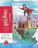 Hachette раскраска по номерам Coloriages mystères -Книга «Гарри Поттер в цифрах: цвета и изображения» — фото 1