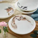 Royal Worcester Тарелка Wrendale Designs 22,3см Сова глубокая WNB4341-XB-D — фото 2
