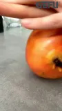 GEFU Соковыжималка Fruti для зерен и сока граната G-14480 — фото 3