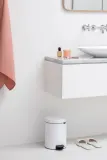 Brabantia Контейнер для мусора NewIcon 2x2л матовый 280467 — фото 2