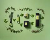 Cereria Molla Ароматическая свеча 230 г Eucalyptus & Mint 5509 — фото 2