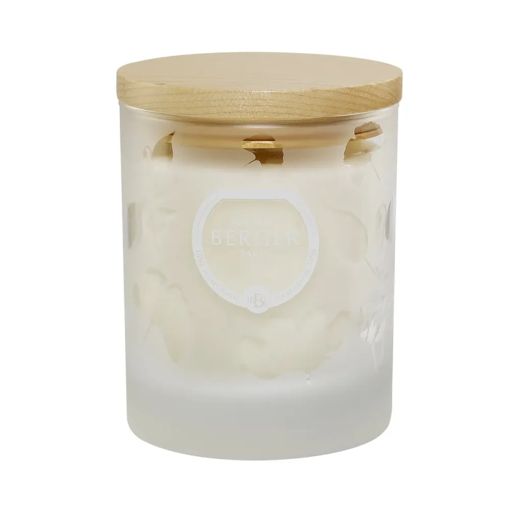 Maison Berger Paris Ароматическая свеча Aroma Energy 180 грамм 6361