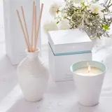 Wax Lyrical Диффузор ароматический Sophie Conran 200 мл Communication SC0205 — фото 2