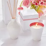 Wax Lyrical Диффузор ароматический Sophie Conran 200 мл Сила SC0201 — фото 2