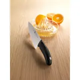 Zwilling Набор из 5 ножей Style в блоке EAN 4009839303326 — фото 8