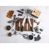 Zwilling Набор из 4 ножей в блоке Now S + ножницы + точилка EAN 4009839641473 — фото 2