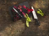 Zwilling Набор из 4 ножей Gourmet в блоке EAN 4009839377419 — фото 3
