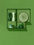 Peugeot Комплект из 2 мельниц Tahiti Water Moss green & Mint green EAN 4006950042950 — фото 3
