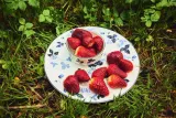 Wedgwood Тарелка для завтрака Wild Strawberry 20,6 см Чернильно-синий EAN 701587481625 — фото 2