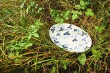 Wedgwood Тарелка для завтрака Wild Strawberry 20,6 см Чернильно-синий EAN 701587481625 — фото 3