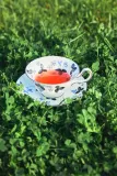 Wedgwood Набор из 2 чайных чашек Wild Strawberry 177 мл с блюдцами Ink Blue EAN 701587481663 — фото 2