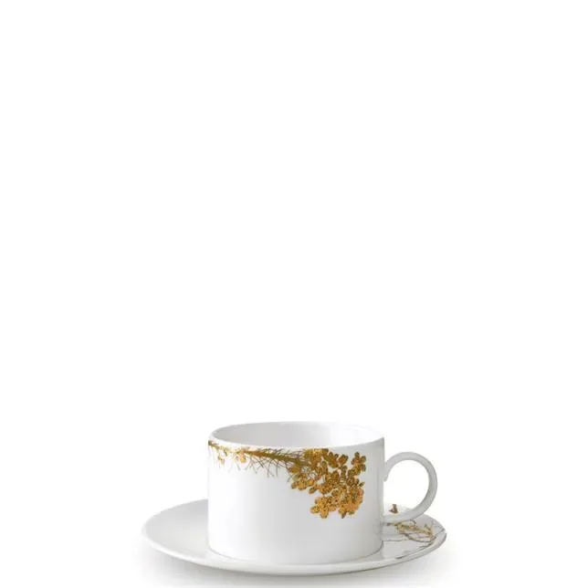 Wedgwood Чайная чашка Vera Wang Jardin 250 мл с блюдцем EAN 701587394086