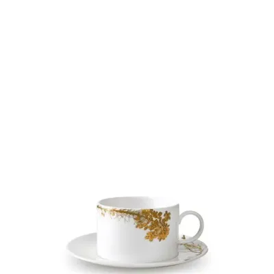 Wedgwood Чайная чашка Vera Wang Jardin 250 мл с блюдцем EAN 701587394086