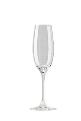 Rosenthal Бокал для шампанского Di Vino EAN 4027745001846