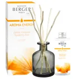 Maison Berger Paris Набор палочек 180 мл + ароматическое масло Aroma Energy EAN 3127290077172 — фото 1
