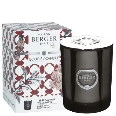 Maison Berger Paris Ароматическая свеча Дикий берег 240 г Черный EAN 3127290069603