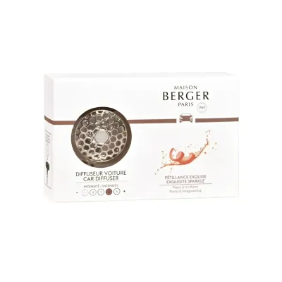 Maison Berger Paris Диффузор Шампань для автомобиля EAN 3127290064011