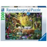 Пазл Ravensburger 160051 Спокойные тигры 1500 элементов 160051 — фото 1