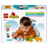 Конструктор LEGO DUPLO Town 10442 Семьи диких животных Пингвины и львы арт. 10442 10 дет — фото 4