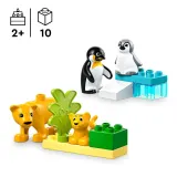 Конструктор LEGO DUPLO Town 10442 Семьи диких животных Пингвины и львы арт. 10442 10 дет — фото 5
