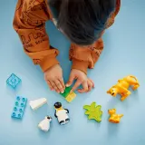 Конструктор LEGO DUPLO Town 10442 Семьи диких животных Пингвины и львы арт. 10442 10 дет — фото 8