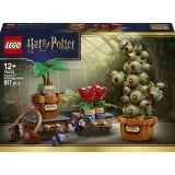 Конструктор LEGO Harry Potter 76474 Растения с урока Травологии в Хогвартсе — фото 1