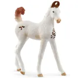 Schleich S 14896 — Жеребёнок марвари — Horse Club — фото 1