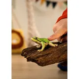 Schleich S 14882 — Квакша древесная — Wild Life — фото 2