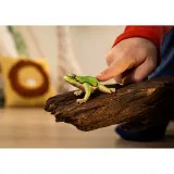 Schleich S 14882 — Квакша древесная — Wild Life — фото 3