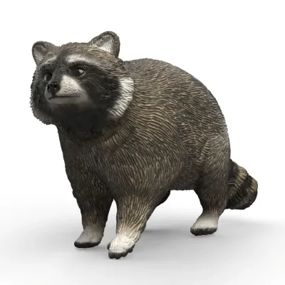 Schleich S 14937 — Енот-полоскун Wild Life