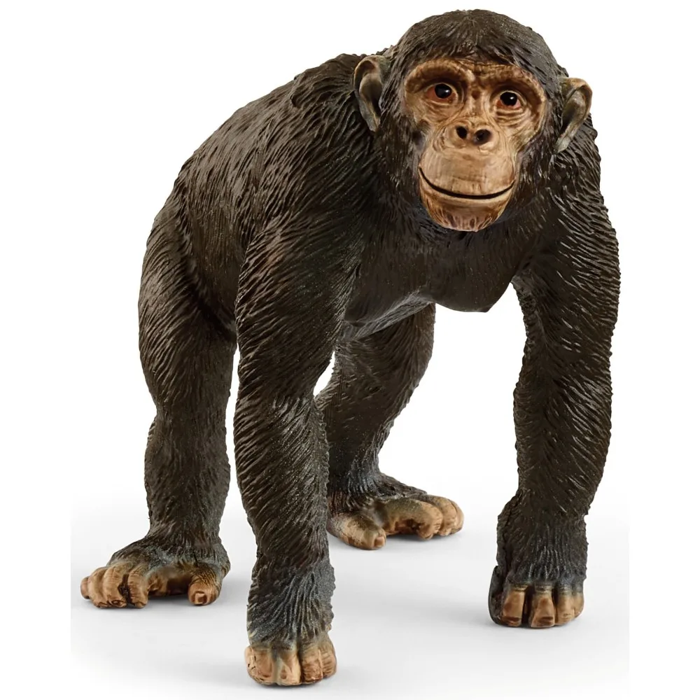 Schleich S 14883 — Шимпанзе — Wild Life