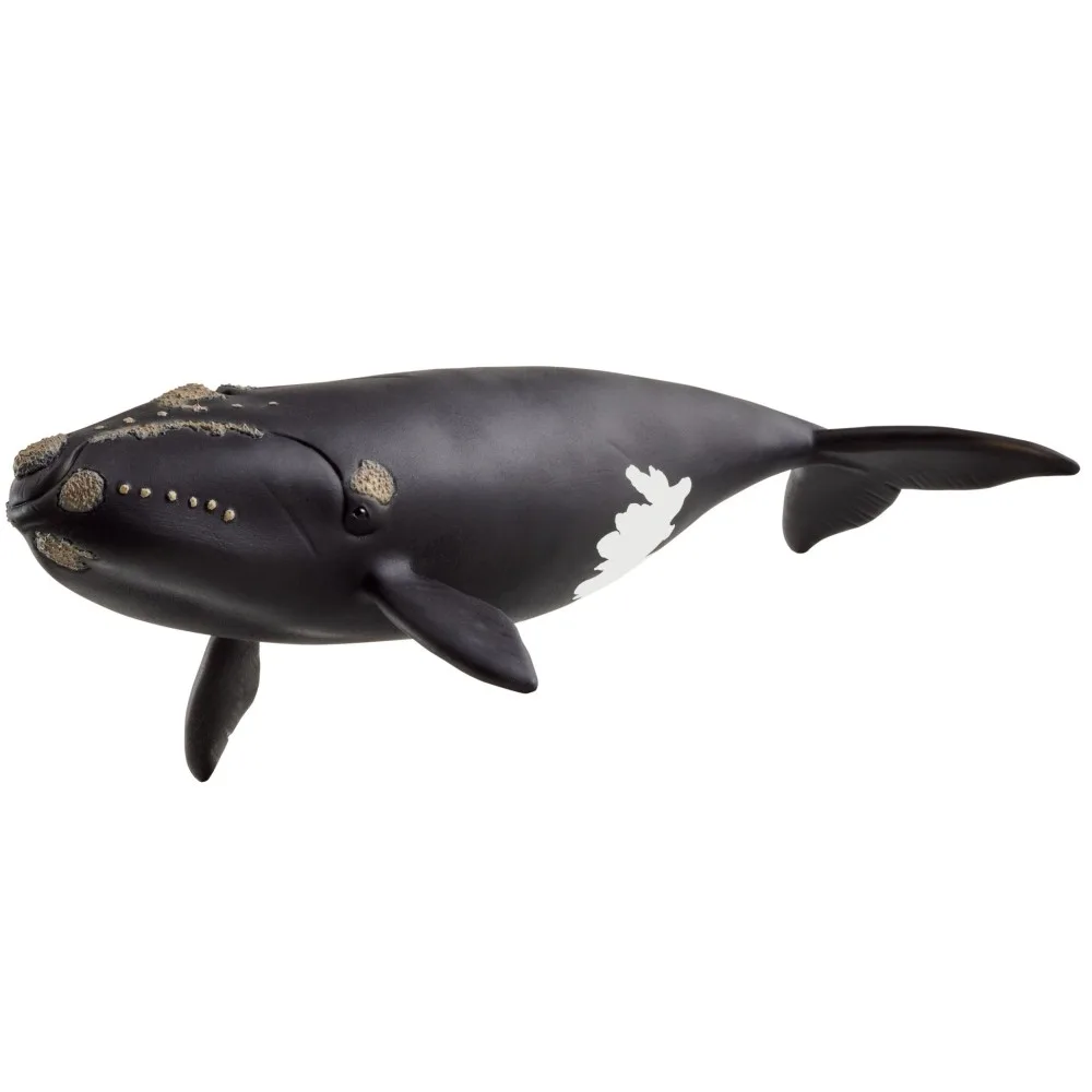 Schleich S 14878 — Гладкий кит — Wild Life