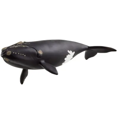 Schleich S 14878 — Гладкий кит — Wild Life