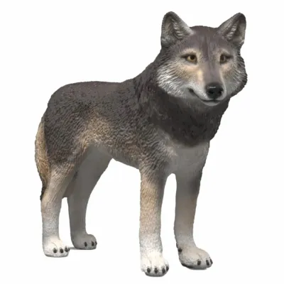 Schleich S 14991 — Американский волк Wild Life