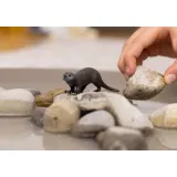 Schleich S 14865 — Выдра — фото 2