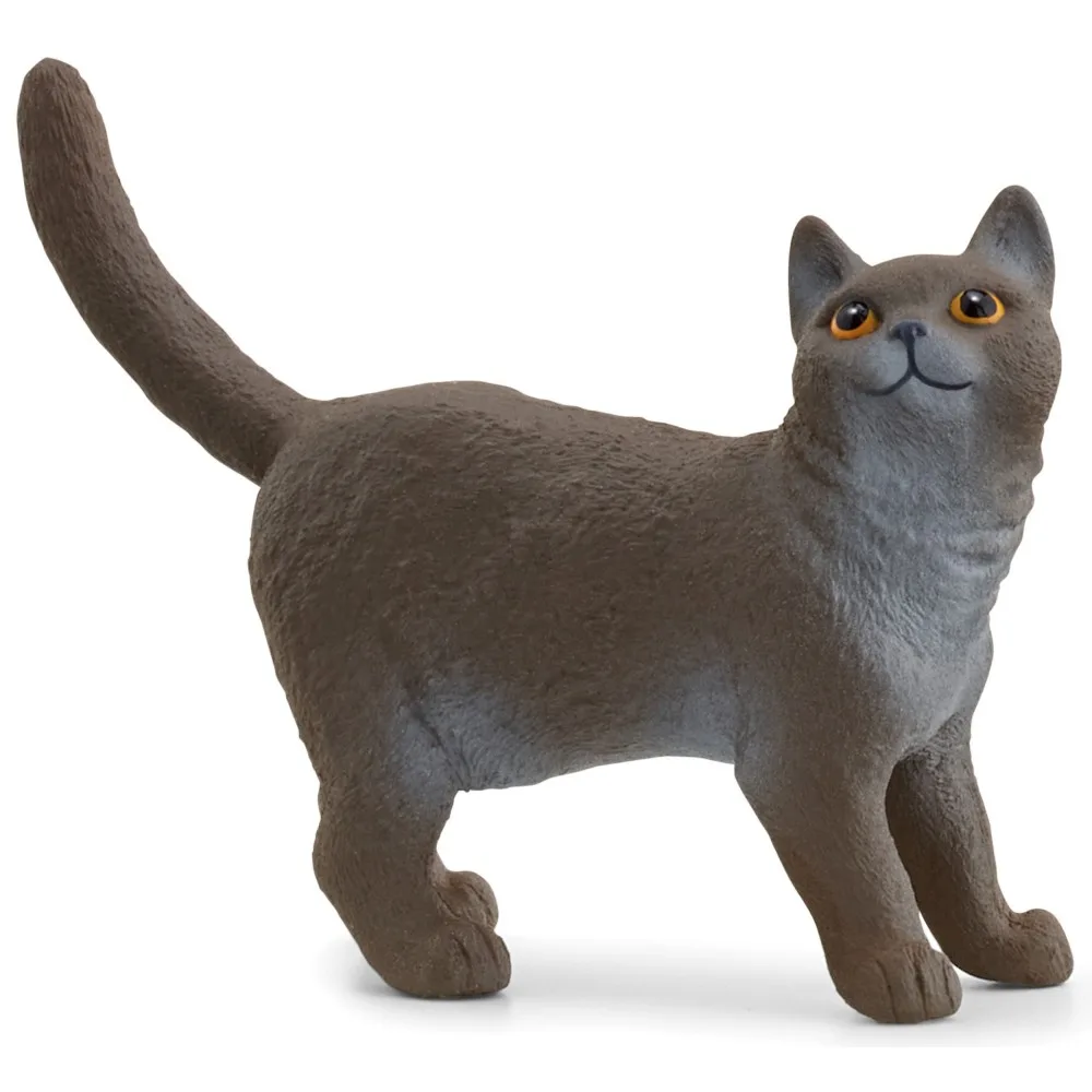 Schleich S 13973 — Кот британский короткошёрстный