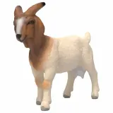 Schleich S 14929 — Коза бурская Farm World — фото 1