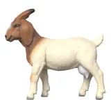 Schleich S 14929 — Коза бурская Farm World — фото 2