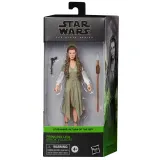 Hasbro E8908 F4352 — Коллекционная фигурка «Принцесса Лея (Деревня эвоков)» 15 см The Black Series Star Wars F4352 — фото 1