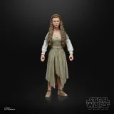 Hasbro E8908 F4352 — Коллекционная фигурка «Принцесса Лея (Деревня эвоков)» 15 см The Black Series Star Wars F4352 — фото 3