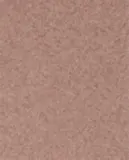 Zara Home Аромадиффузор Warm Cherry 100 мл, тростниковые палочки микадо, аромат фруктовый, Персиковый — фото 3