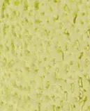 Zara Home Аромадиффузор Lime & Peppermint 435 мл, тростниковые палочки микадо, аромат свежий цитрусовый, Горчичный — фото 2