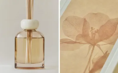 Zara Home Аромадиффузор Jasmine & Musk 120 мл, тростниковые палочки микадо, аромат цветочный древесный, Розовый