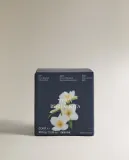 Zara Home Свеча ароматическая Aqua Bergamota 350 г, растительный воск, аромат свежий цитрусовый, Горчичный — фото 4