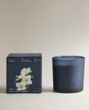 Zara Home Свеча ароматическая Aqua Bergamota 350 г, растительный воск, аромат свежий цитрусовый, Горчичный — фото 6