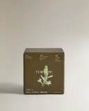 Zara Home Свеча ароматическая Tuberose 350 г, растительный воск, аромат цветочный, Розовый — фото 6